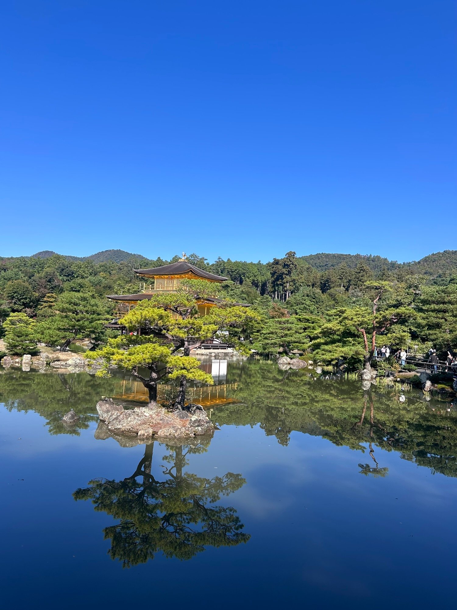 Kinkaku-ji, Zlati paviljon v Kyotu, odsev v mirnem jezeru pod modrim nebom.