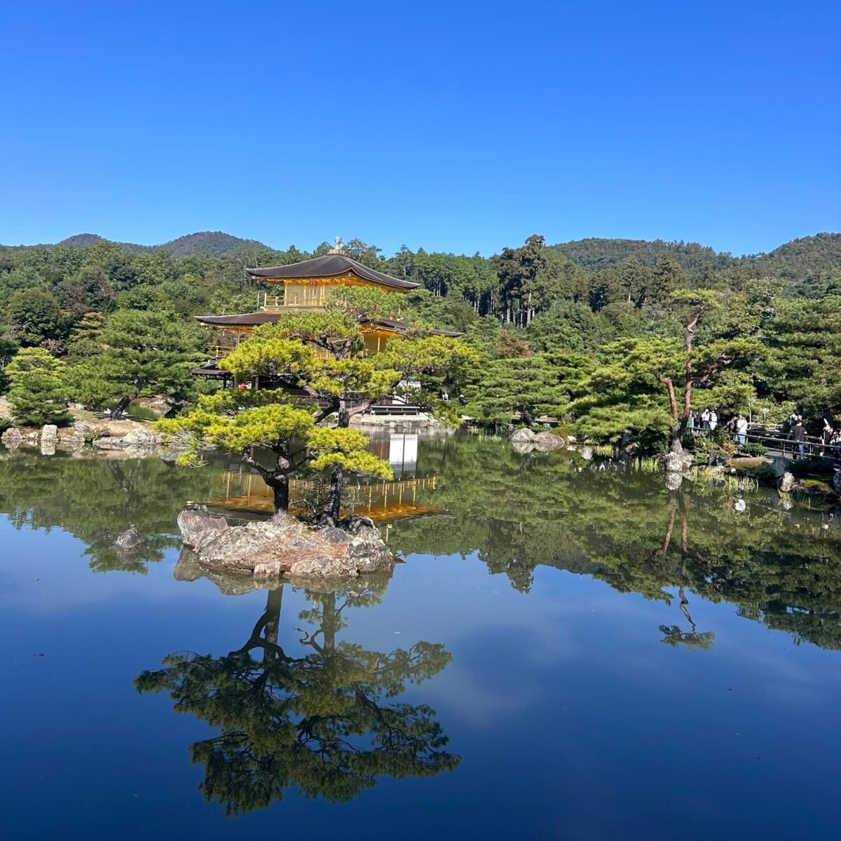 Golden pavilion kyoto japan with kids