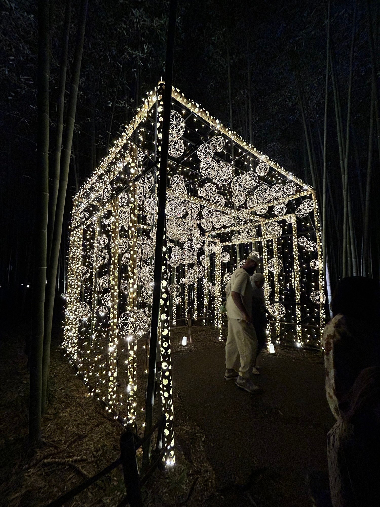 Light installation during a festival in Arashiyama Kyoto Japan