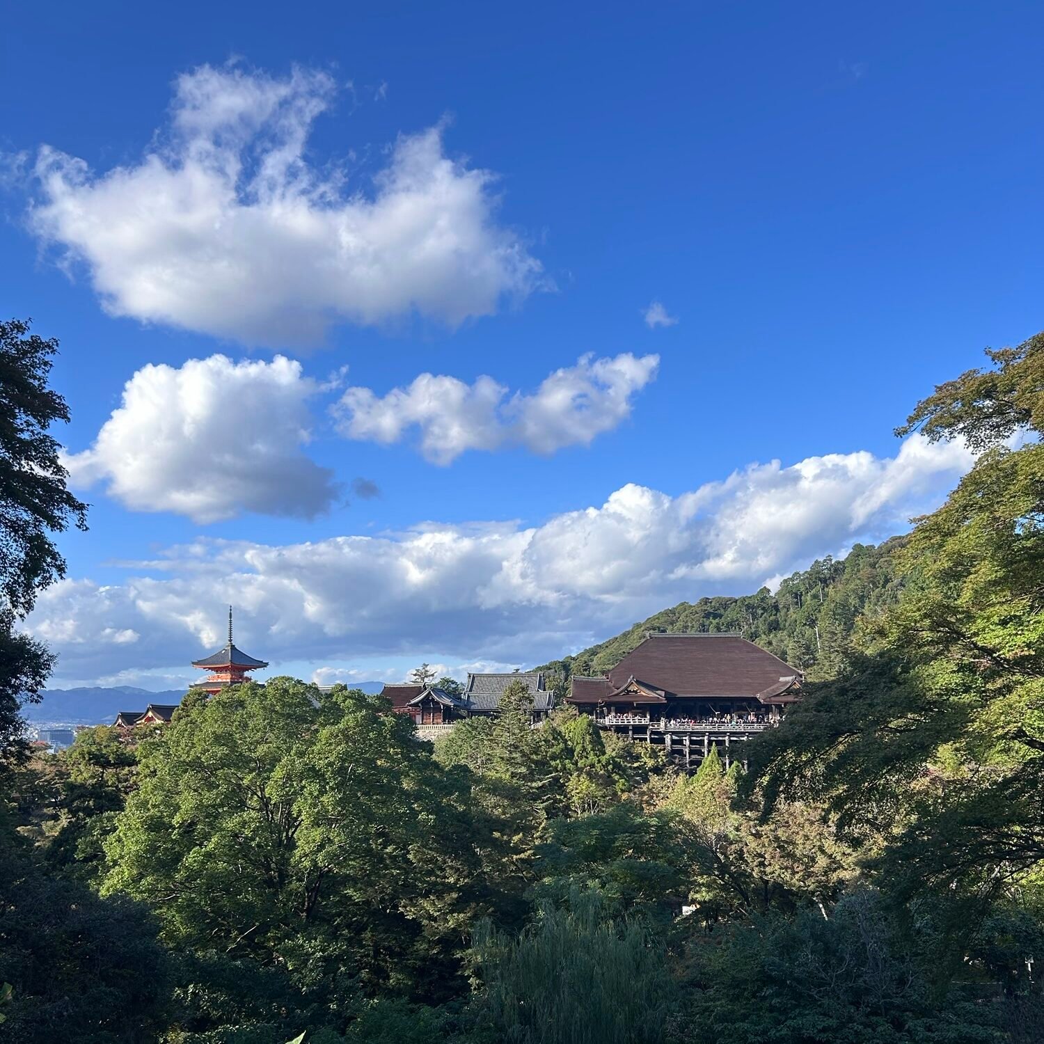 Kiyomizu-dera temple in Kyoto Japan during our 4-day Kyoto with kids itinerary