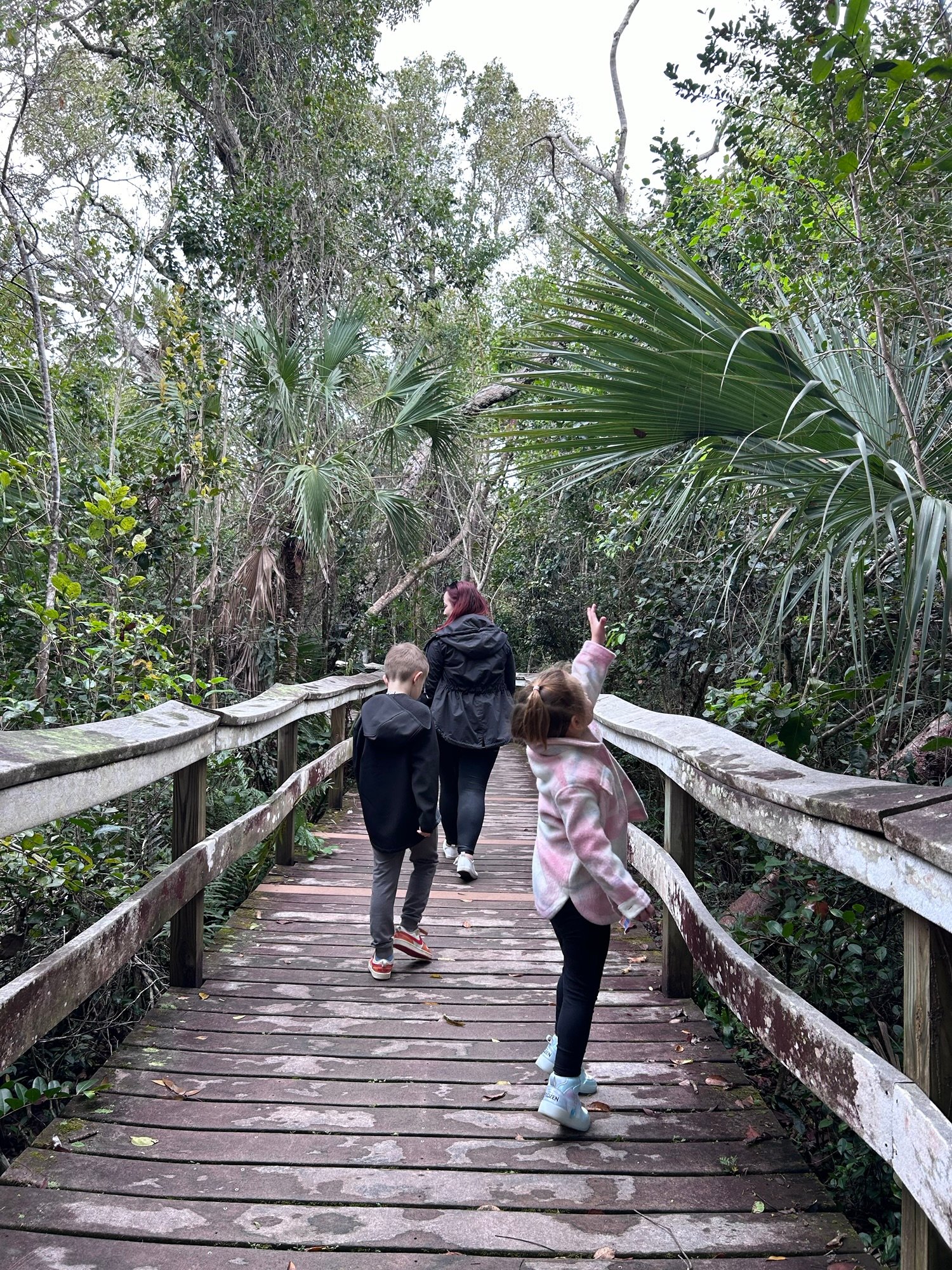 Walking through Everglades National Park with kids during our Florida road trip.