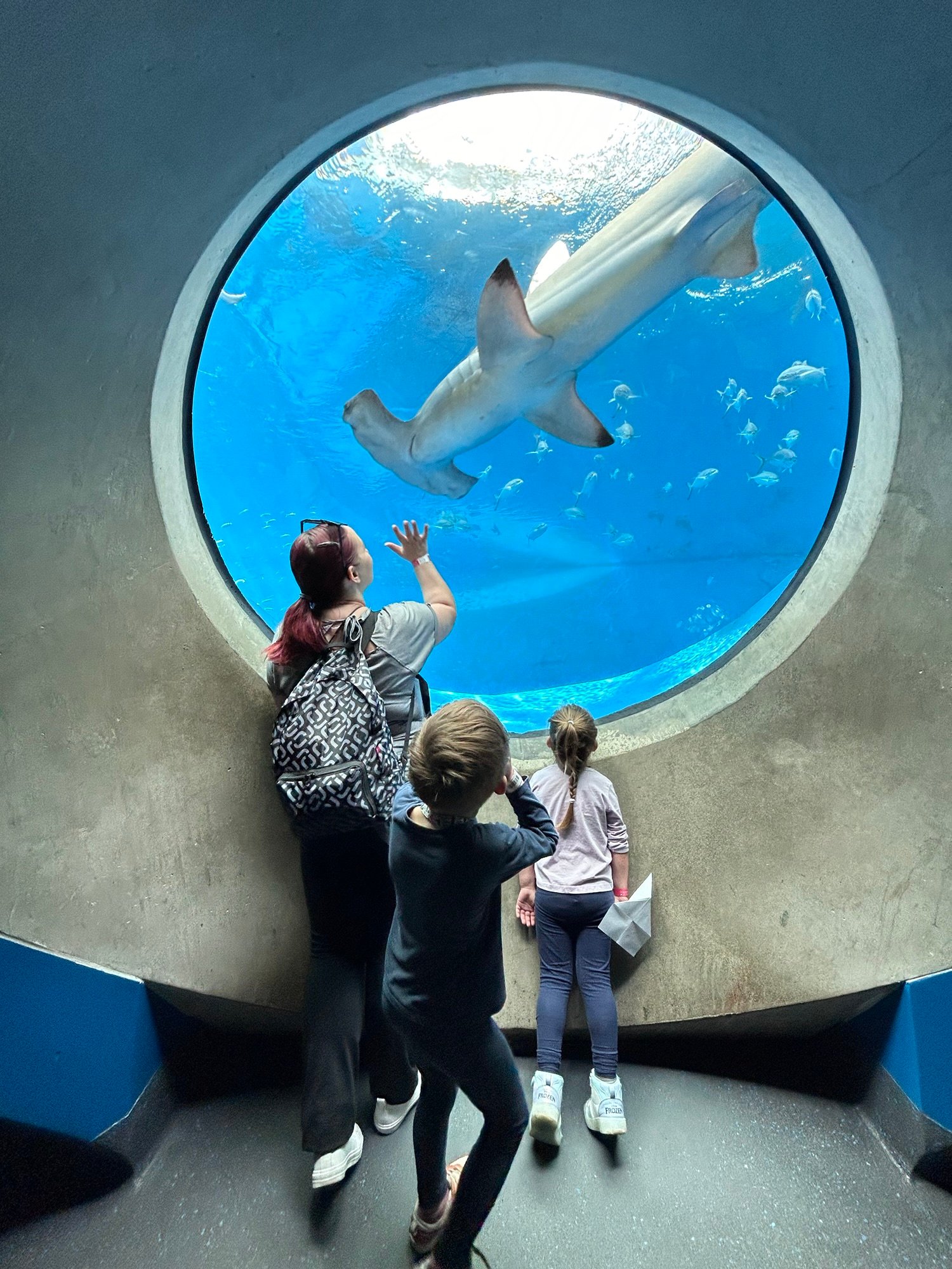Kids watching a shark through an aquarium window in Miami.