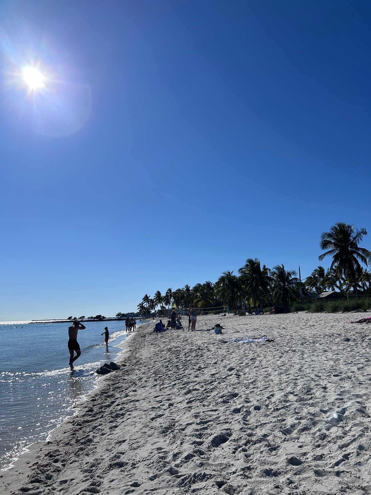 Beach with palm trees in Key West Florida