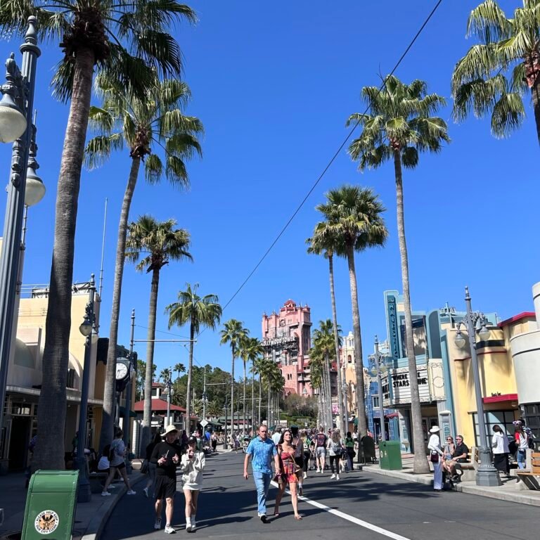 Hollywood Studios with kids in Florida
